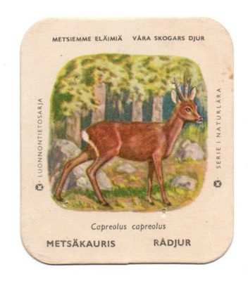 Kahvilappu METSÄKAURIS Isompi kuvakoko.