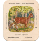 Kahvilappu METSÄKAURIS Isompi kuvakoko. - pikkukuva 1