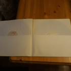 Toni Edelmann, Ilkka Volanen - Viisi Vuodenaikaa 2lp rare - pikkukuva 3