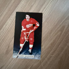 Barry Salovaara Detroit Red Wings JD McCarthy Postikortti - pikkukuva 2