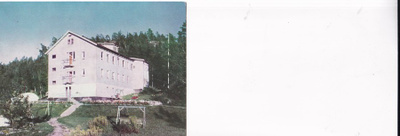 Piikkiö, Kiiskisen luontaisparantola b686