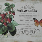 KAKSI MANSIKKA-AIHEISTA TARJOTINTA SISUSTUKSEEN - pikkukuva 1