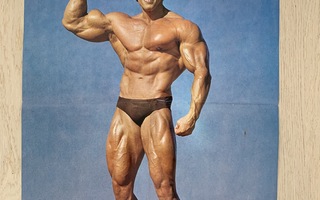 Arnold Schwarzenegger juliste - Wrange Suomi