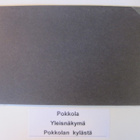 VANHA Postikortti Lieto Pokkola 1920-l - pikkukuva 3