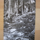 VANHA Postikortti Lappi Inari 1950-l Alkup. Mallikappale - pikkukuva 1