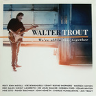 Walter Trout - We're All in This Together uudenveroinen 2LP - pikkukuva 1