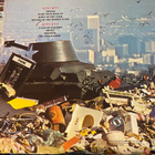 Joe Walsh: There Goes The Neighborhood 1981 LP - pikkukuva 2
