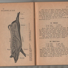 Lilla kokboken, P.A Norstedts & Söner. 1917, 8.uppl, inb, K3 - pikkukuva 3