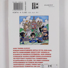 Hiro Mashima : Rave 10 - pikkukuva 2