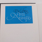 Philip Roth : Intohimon professori - pikkukuva 3