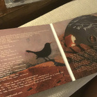Stella Homewood . The wild places 2014 CD - pikkukuva 2