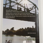 Kalervo Tanskanen : Silta - pikkukuva 2