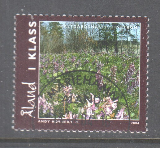 Åland 2004 1 lk maisema loistoleimalla.