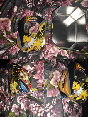 Pokémon Isot tinit