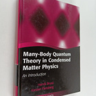Henrik Bruus ym. : Many-Body Quantum Theory in Condensed ... - pikkukuva 1
