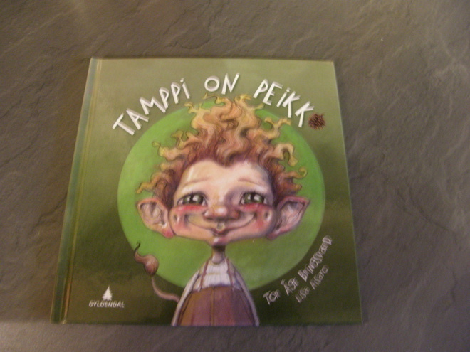 Bringsvaerd - Aisato Tamppi on peikko