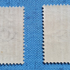 1927 Itsenäisyyden 10-vuotisjuhla postimerkit leimaamattomat - pikkukuva 2