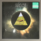 GOV’T MULE: Dark Side Of The Mule - 2LP, LTD, uusi - pikkukuva 2