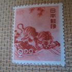 Japani 1950: Tiikerin vuosi - pikkukuva 1