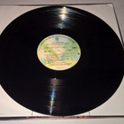T.G.SHEPPARD T.G LP - pikkukuva 5