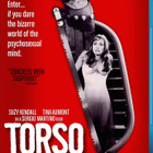 TORSO (1973) UNRATED, 2 Versions, Blue Underground, OOP!! - pikkukuva 1