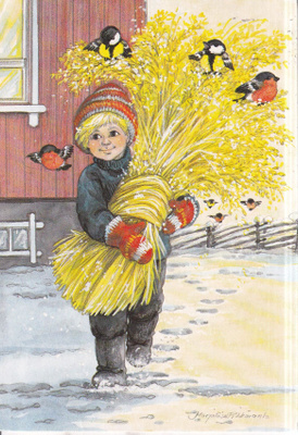 Marjaliisa Pitkäranta, Poika. Lyhde. Linnut e310