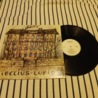 Sibelius-lukio – 1988-89 lp Pop Rock, Alt Rock, Choral upea - pikkukuva 1