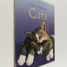 Anna Milbourne : Cats - pikkukuva 1