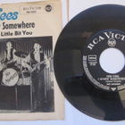 VANHA Levy Monkees RCA Victor Girl I Knew A Little Bit Me - pikkukuva 2