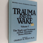 Charles R. Figley : Trauma and Its Wake - vol. 1 : The st... - pikkukuva 1