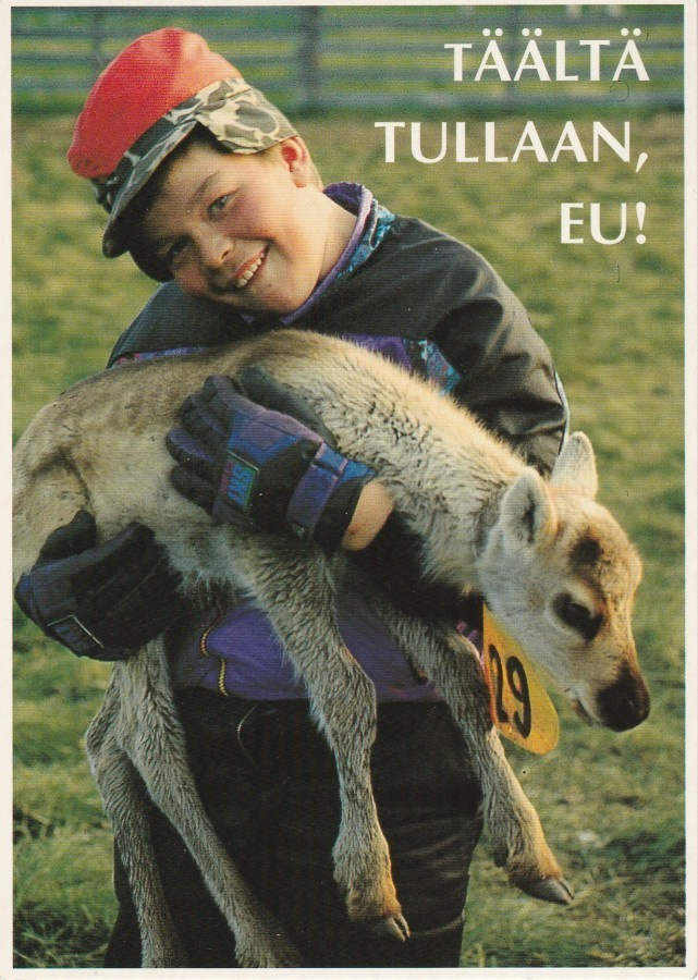 Postikortti, Eläinaihe, eläimet , poronvasa