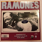 Ramones Something To Believe In 7" sinkku Ranskalainen - pikkukuva 2
