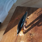 Rapala Sinking 5cm Ireland - pikkukuva 3