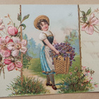 Leidi kantaa lemmikkikoria, sivuilla ruusuja, p. 1908 - pikkukuva 1