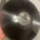 Tuomari Nurmio – Hullu Puutarhuri (Vinyyli) - pikkukuva 5