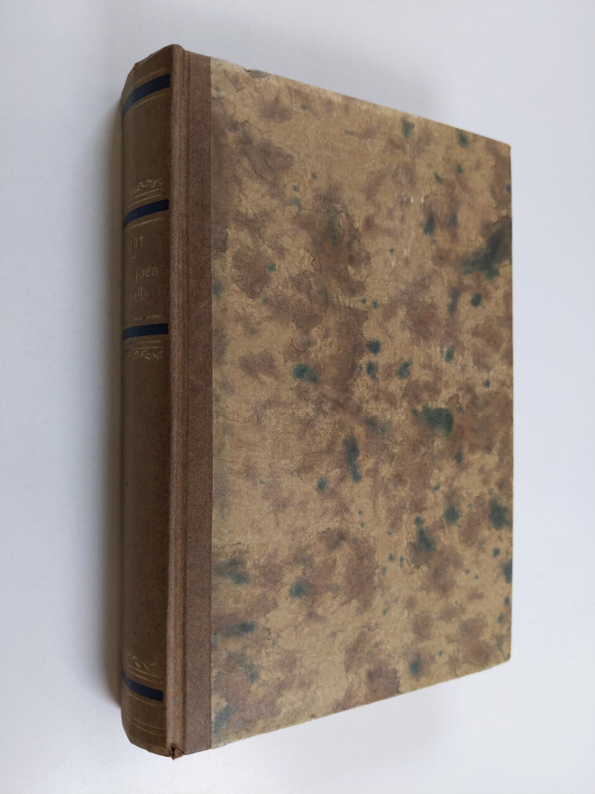 George Eliot : Mylly joen rannalla