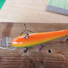 Salmo Teno Floating 6cm - pikkukuva 4