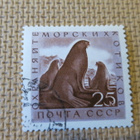 CCCP 1960: merielämää - pikkukuva 4