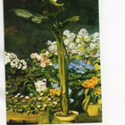 P.Auguste Renoir °°TALVIPUUTARHAN KUKKASIA°° -2.os. KORTTI - pikkukuva 1