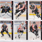 2012-13 Cardset Series 2 JYP Team Set 12 korttia (229-240) - pikkukuva 1