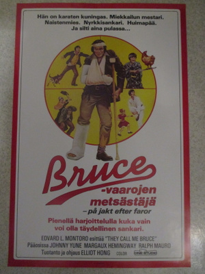 Bruce - vaarojen metsästäjä (1982) - elokuvajuliste - karate