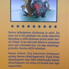 timo rope : ihminen eläiminä - pikkukuva 2