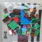 Lego 21240 Suoseikkailu - pikkukuva 2