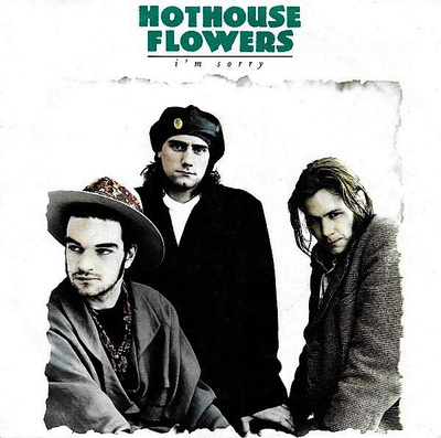 Hothouse Flowers :  I'm Sorry   -  7"