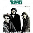 Hothouse Flowers : I'm Sorry - 7" - pikkukuva 1
