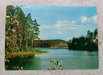 Savonlinna, Punkaharju