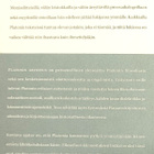 Holger Thesleff: Platonin arvoitus - pikkukuva 2