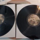 Down - II (A Bustle In Your Hedgerow...) 2016 2xLP - pikkukuva 3