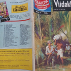 Maailma kuvina 11; Viidakko - pikkukuva 3