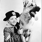 Rin Tin Tin 5 - Poppamies - pikkukuva 3